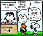 supporto Qualità